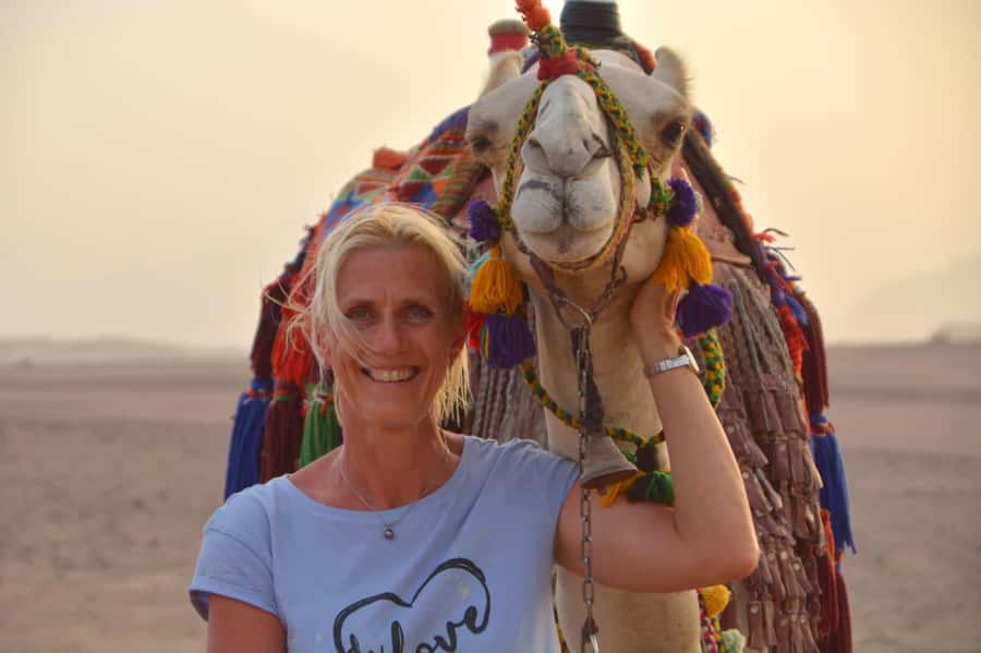 Hurghada: BADU Camp Camel Ride, Dinner, & Stargazing - Music, Dancing, and Stories After Dark