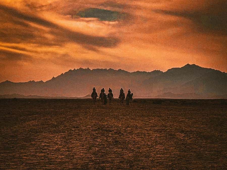 Hurghada: Hiking , dinner & stargazing - Sunset and dinner at the camp