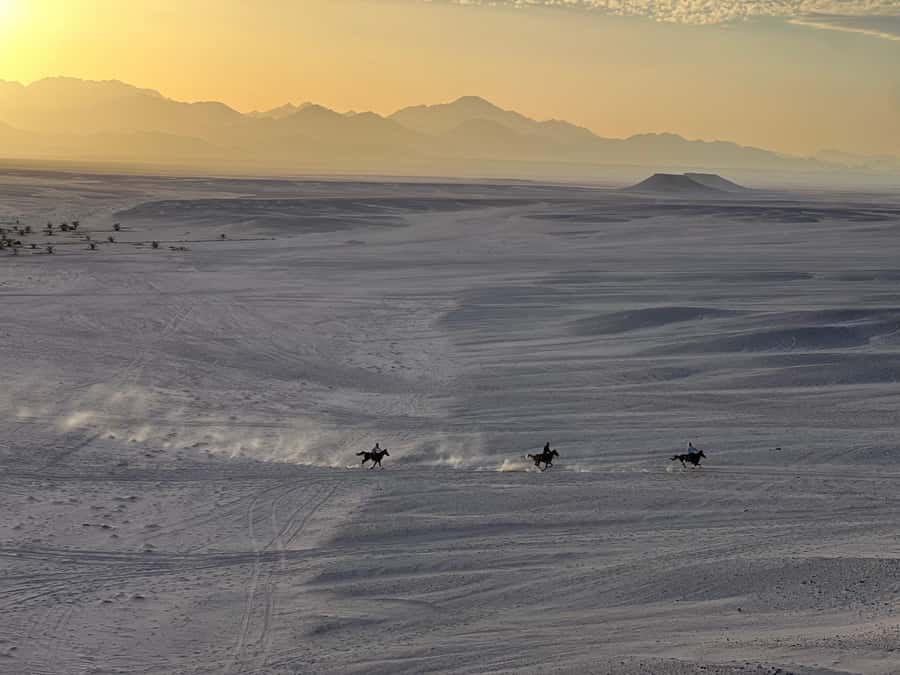 Hurghada: Horse Ride, BBQ Dinner, and Stargazing - From Hurghada hotels to a desert oasis