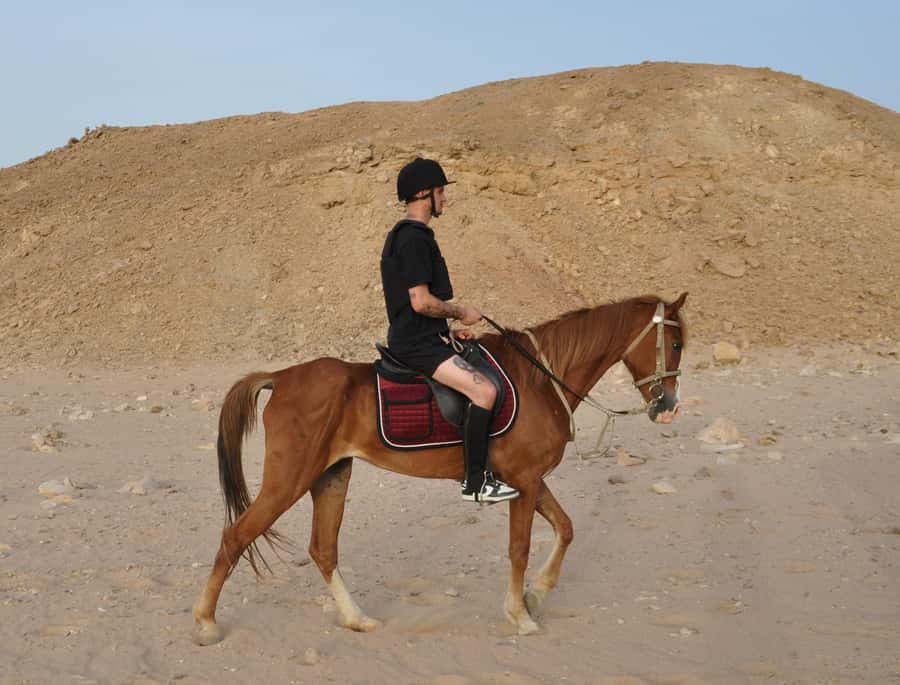 Hurghada: Horse Ride, BBQ Dinner, and Stargazing - What $41 buys you