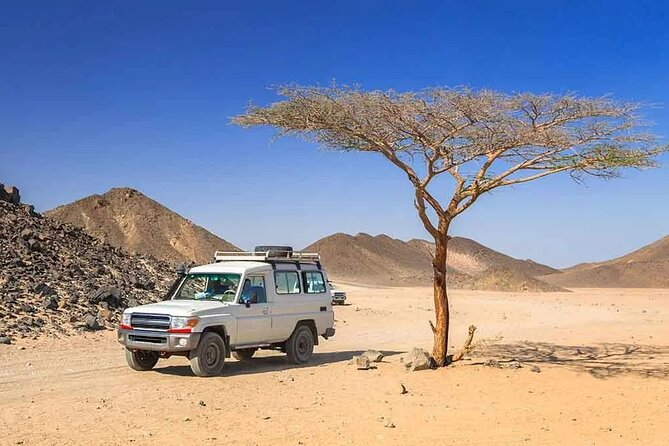 Hurghada: Safari 4x4 Jeep, Camel Ride, Dinner & Star Watching - Finding stars with a telescope