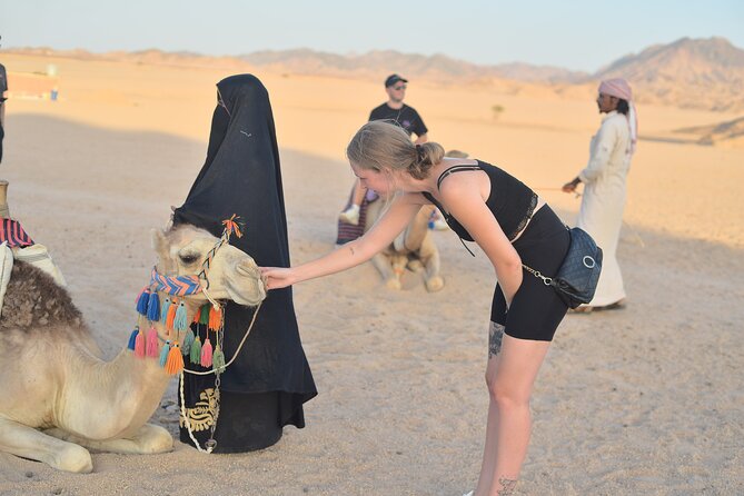 Hurghada: Safari 4x4 Jeep, Camel Ride, Dinner & Star Watching - Is $40 a good value?
