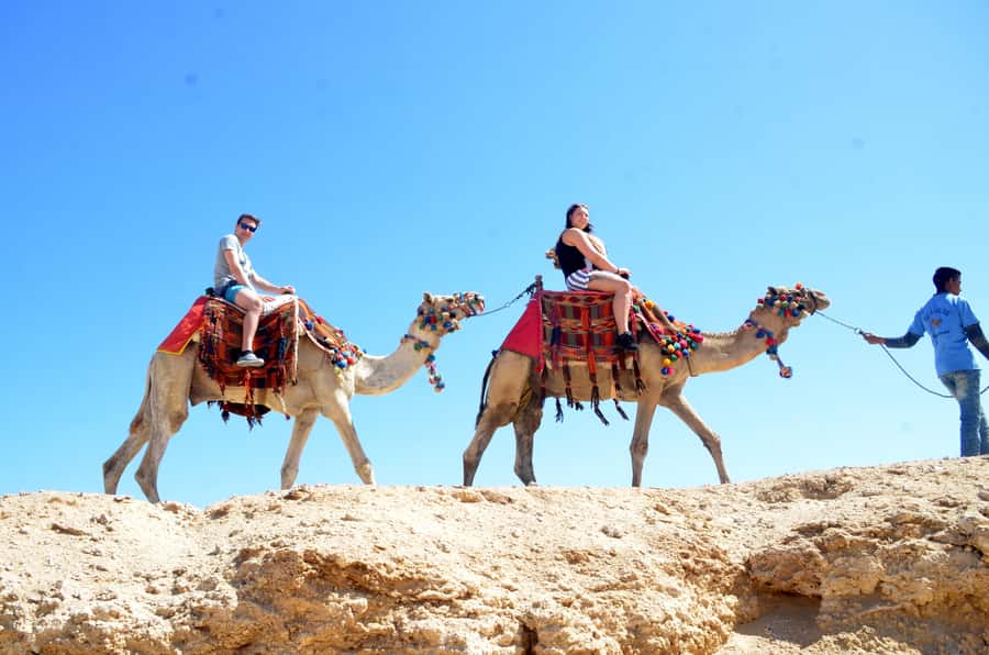 Hurghada: Sea & Desert Camel Ride w/Dinner, Show, Stargazing - What makes this Hurghada camel ride worth considering