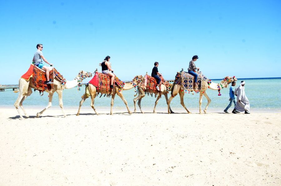 Hurghada: Sea & Desert Camel Ride w/Dinner, Show, Stargazing - Should you book the Hurghada camel ride?