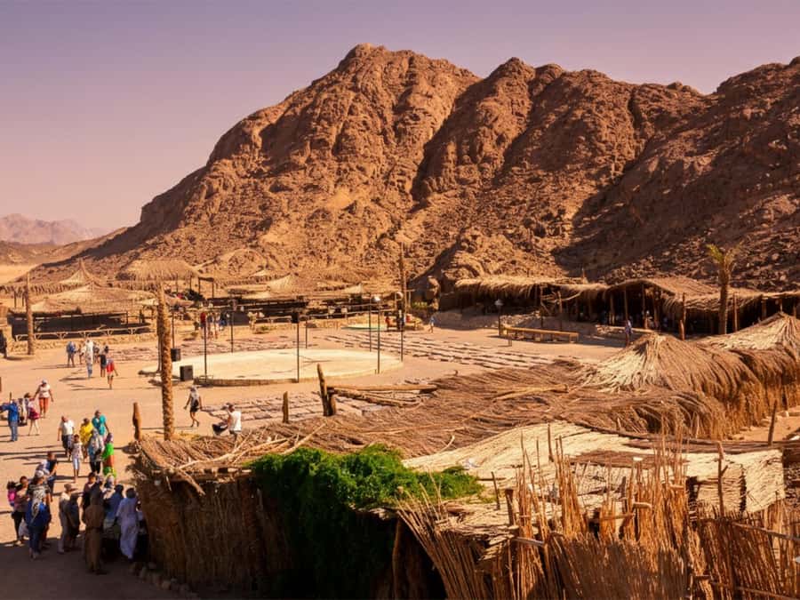 Hurghada: Sea & Desert Camel Ride w/Dinner, Show, Stargazing - From your hotel to the camel base