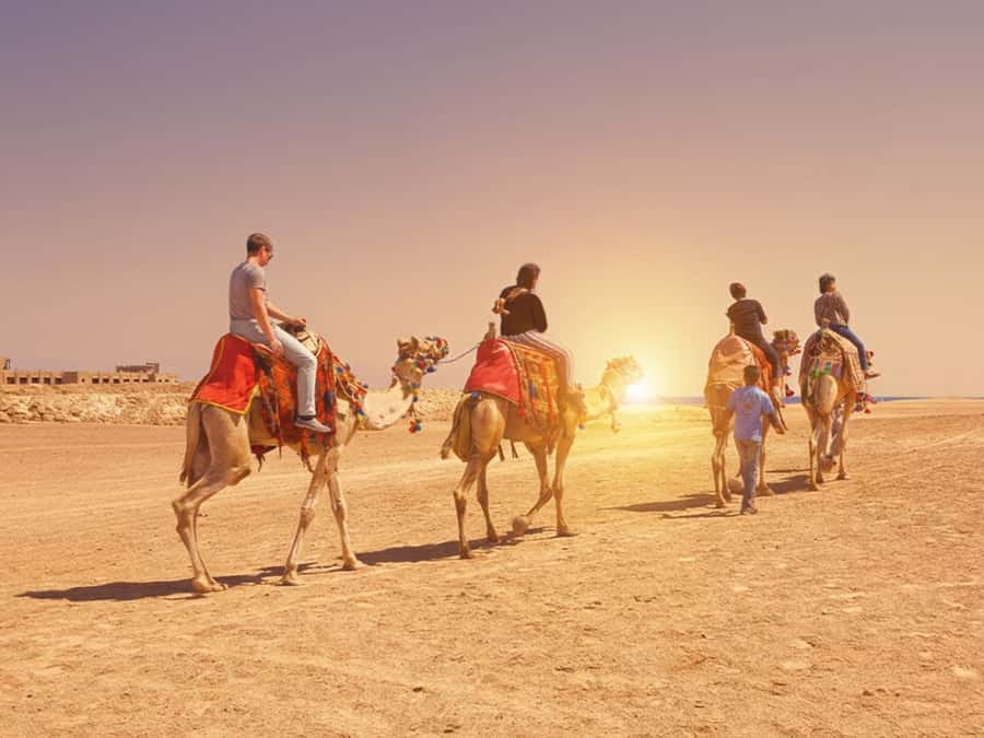 Hurghada: Sea & Desert Camel Ride w/Dinner, Show, Stargazing - The ride across Hurghada’s Eastern Desert