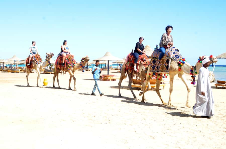 Hurghada: Sea & Desert Camel Ride w/Dinner, Show, Stargazing - Why the guides matter more than the scenery