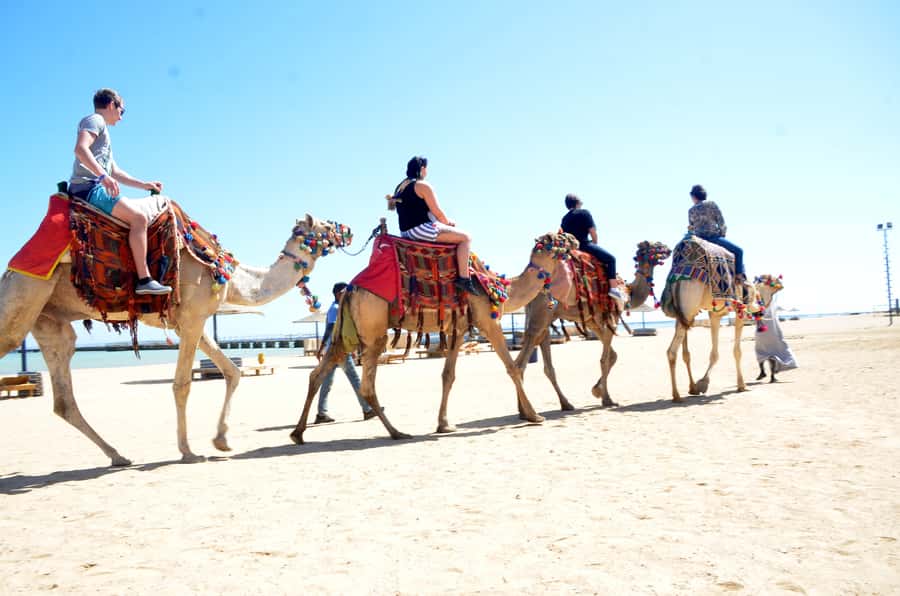 Hurghada: Sea & Desert Camel Ride w/Dinner, Show, Stargazing - Sunset dinner, dancing, and stargazing
