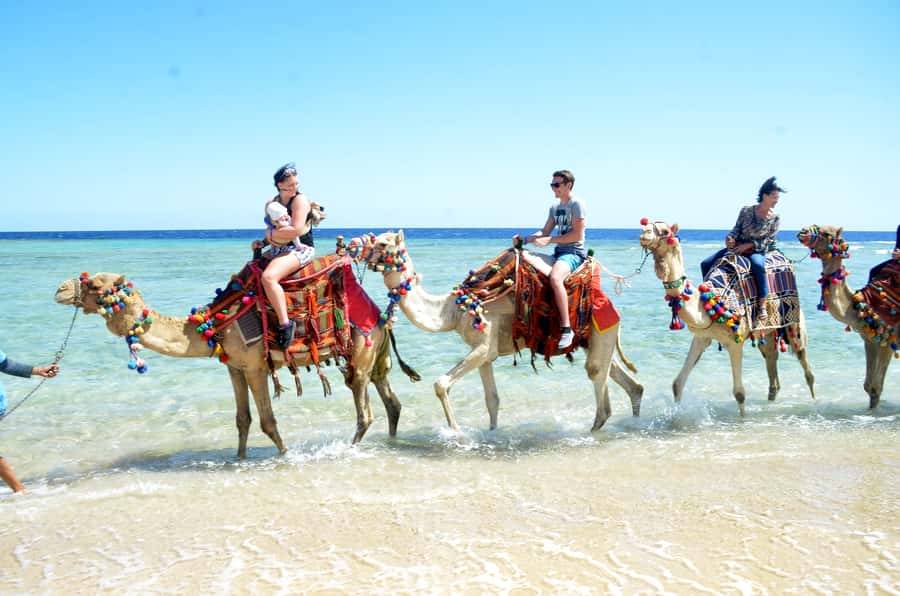 Hurghada: Sea & Desert Camel Ride w/Dinner, Show, Stargazing - Who should book this experience