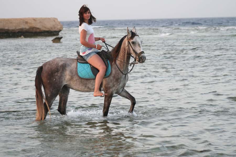 Hurghada: Sea & Desert Horse Tour, Stargazing, Dinner & Show - Key points to know before booking