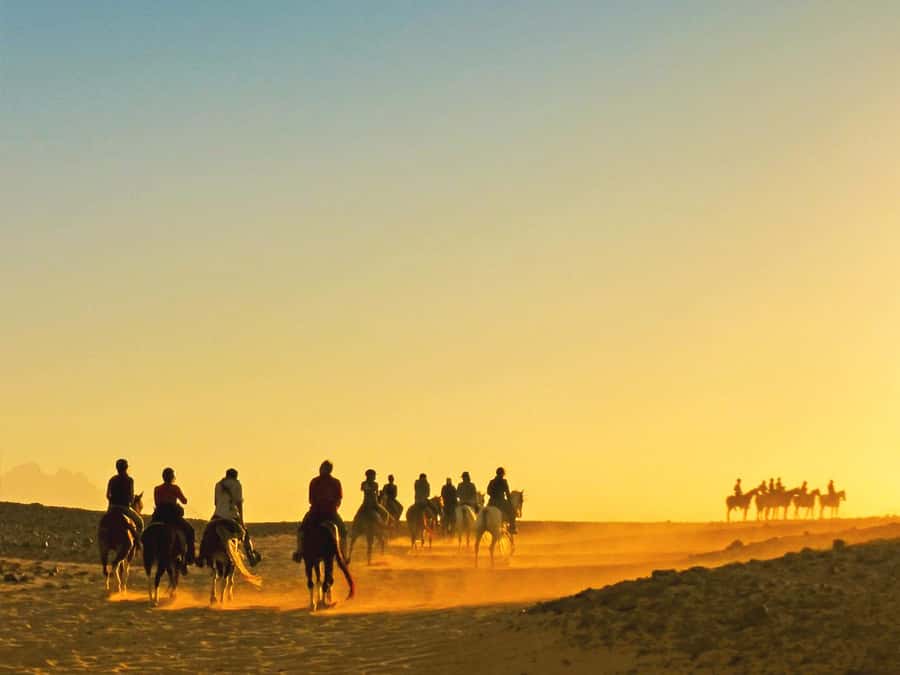 Hurghada: Sea & Desert Horse Tour, Stargazing, Dinner & Show - Getting from the hotel to the stable