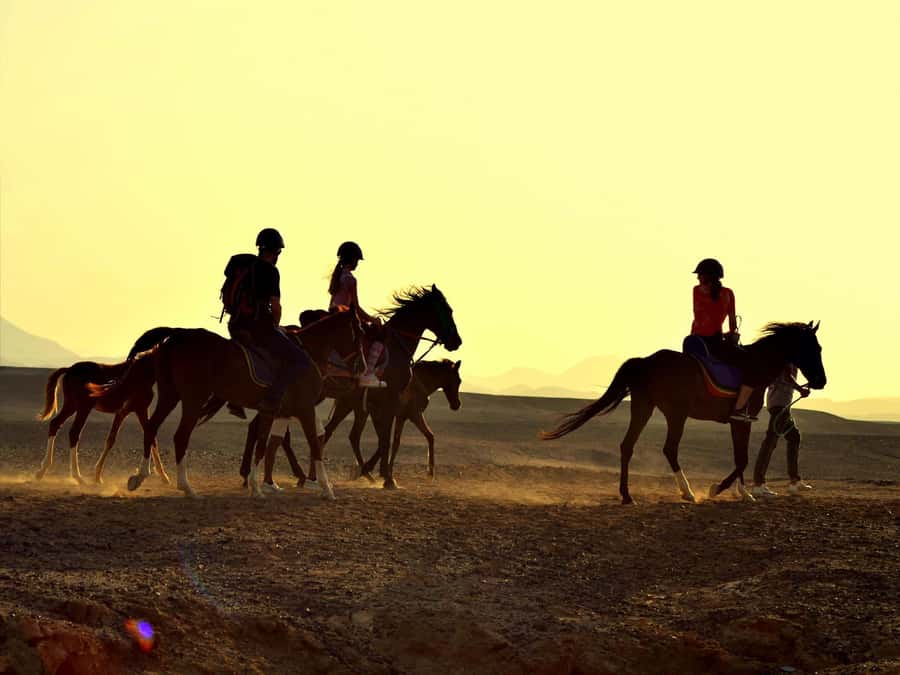 Hurghada: Sea & Desert Horse Tour, Stargazing, Dinner & Show - Is $20 good value?