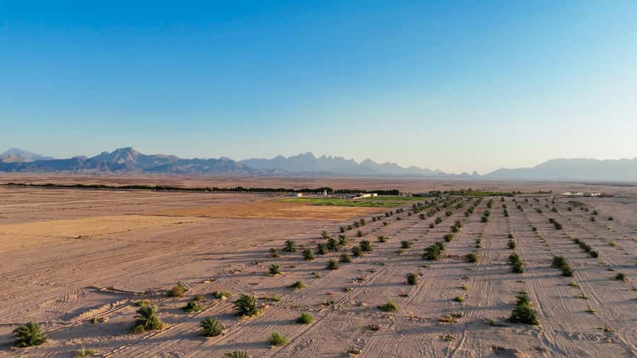 Hurghada: Star Stargazing Desert Adventure by Jeep & Dinner - Dinner by candlelight in the desert