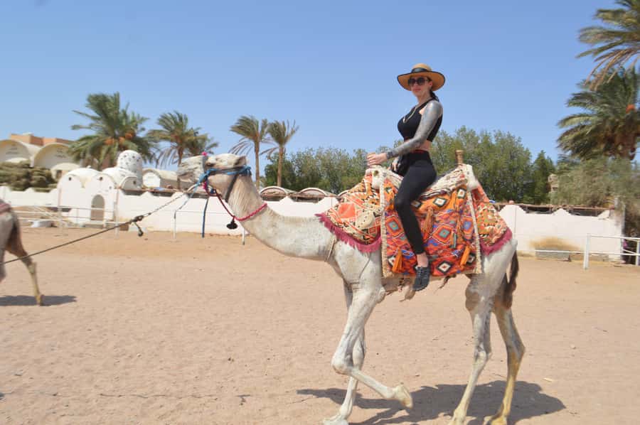 Hurghada: Sunset Quad Bike, Camel w/ Opt Stargazing and BBQ - A five-minute camel ride with a big photo focus