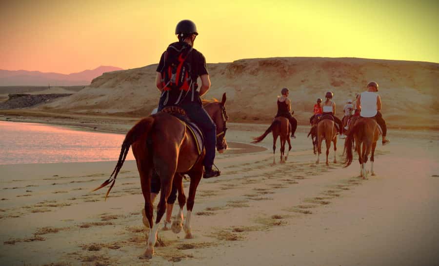 Hurghada: Sunset Sea, Desert Horse W Opt, Dinner, Stargazing - Is $29 a good price?