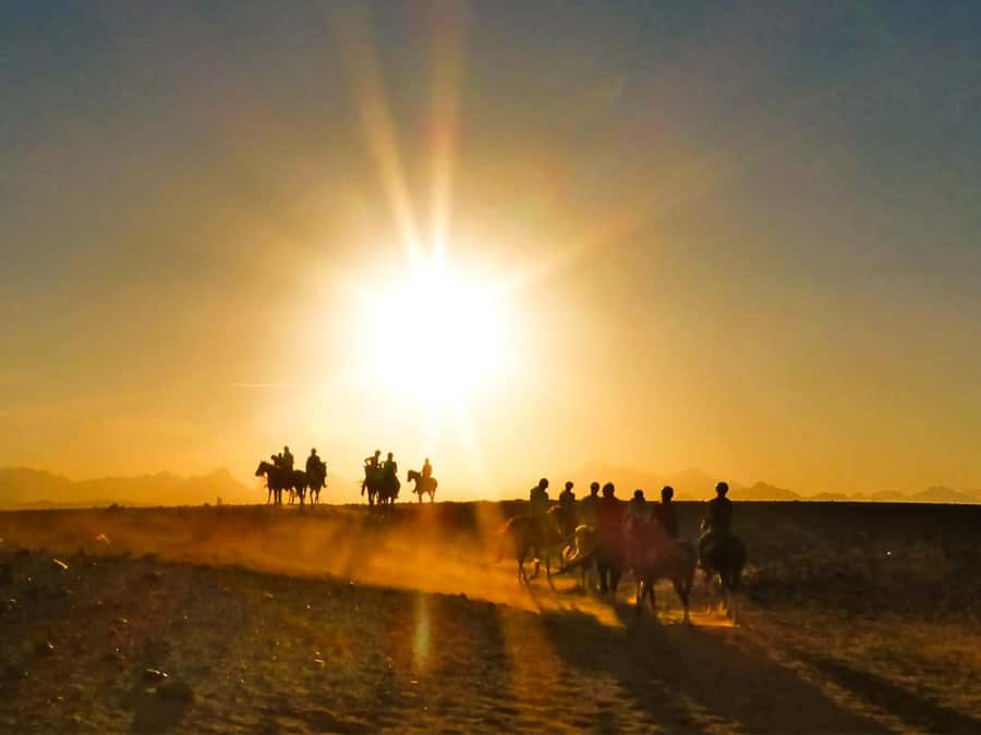 Hurghada: Sunset Sea, Desert Horse W Opt, Dinner, Stargazing - What the Hurghada horse ride is really like