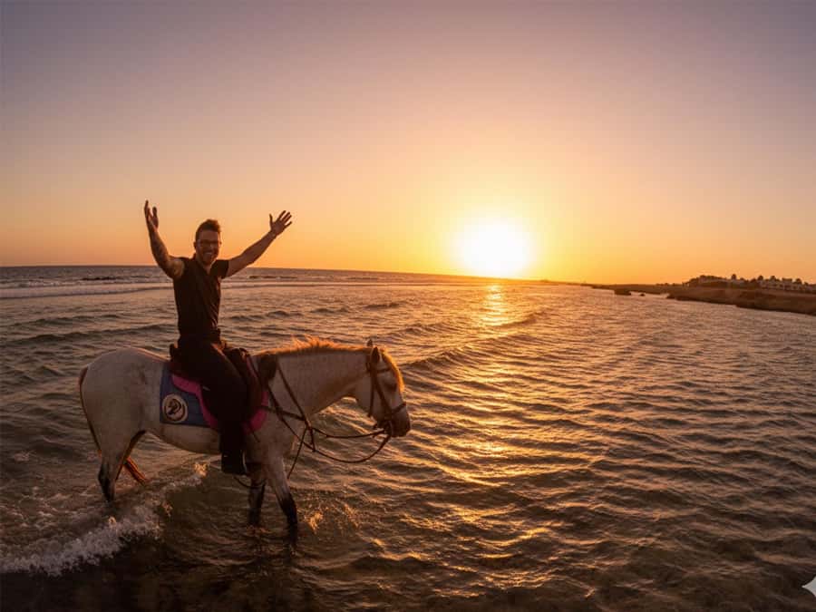 Hurghada: Sunset Sea, Desert Horse W Opt, Dinner, Stargazing - Meeting the horses and getting your safety briefing
