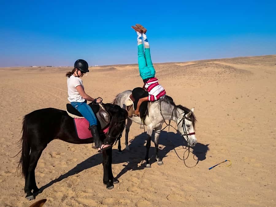 Hurghada: Sunset Sea, Desert Horse W Opt, Dinner, Stargazing - Sunset beside the Red Sea