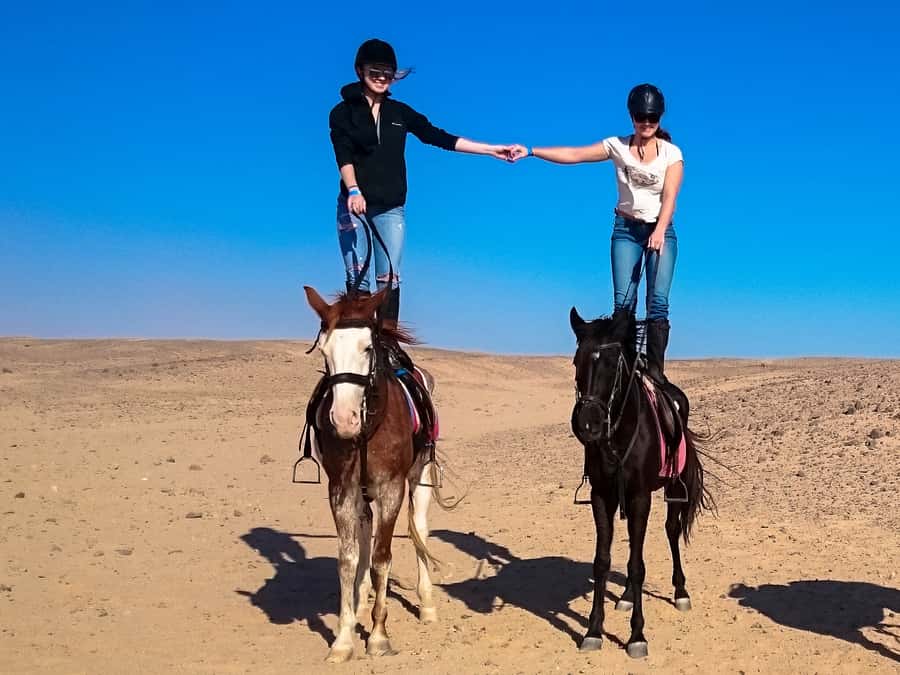 Hurghada: Sunset Sea, Desert Horse W Opt, Dinner, Stargazing - The VIP swim with your horse