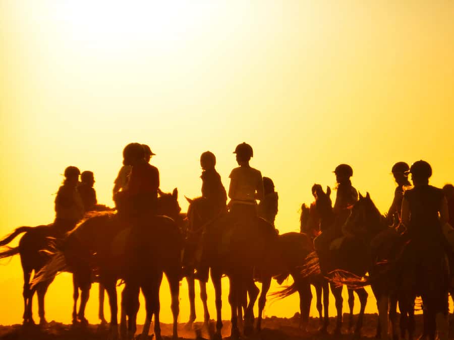 Hurghada: Sunset Sea, Desert Horse W Opt, Dinner, Stargazing - Dinner, traditional dancing, and stargazing