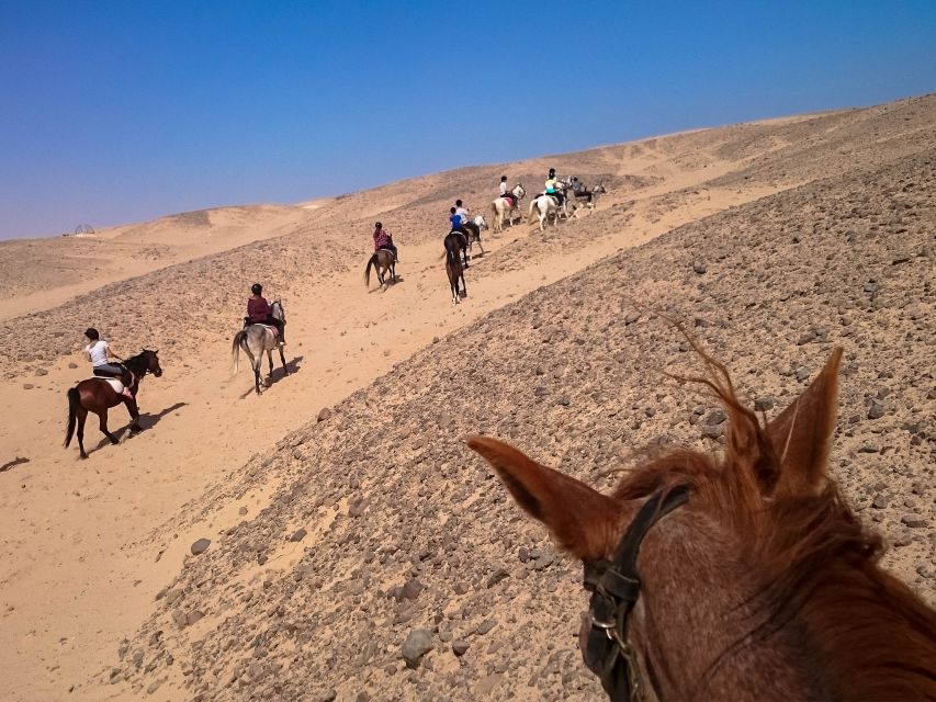 Hurghada: Sunset Sea, Desert Horse W Opt, Dinner, Stargazing - Sunrise breakfast and morning swim choices
