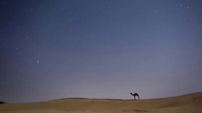 Overnight stay under the stars with camel safari