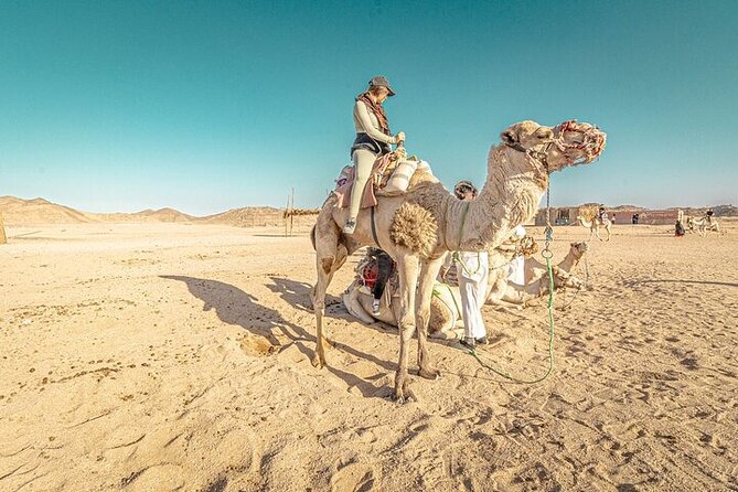 Jeep Cruise Stargazing with Horse Riding & BBQ Dinner - Hurghada - Who will enjoy this six-hour outing?