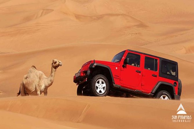 Jeep Desert Super Safari, Quad Bike, Camel Ride, Star Watching & Bedouin Dinner - What the $83 price really covers