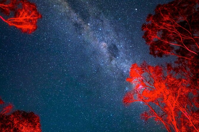 Jervis Bay Beach Stargazing Tour with our Astronomer - A chance to look for bioluminescent water