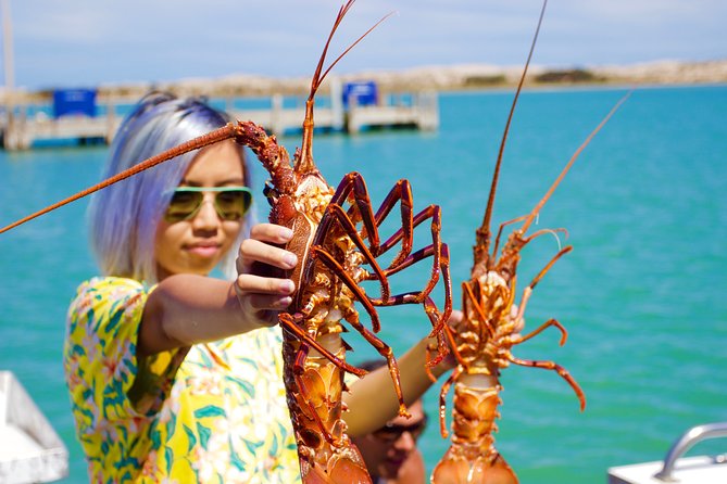 Kalbarri Stargazing Tour - Weather, timing, and booking details