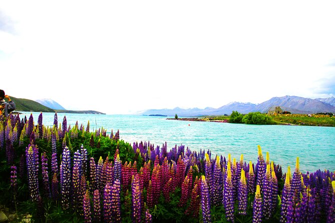 Lake Tekapo Stargazing & Mount Cook 2-Day Tour from Christchurch - A slower morning at Lake Tekapo