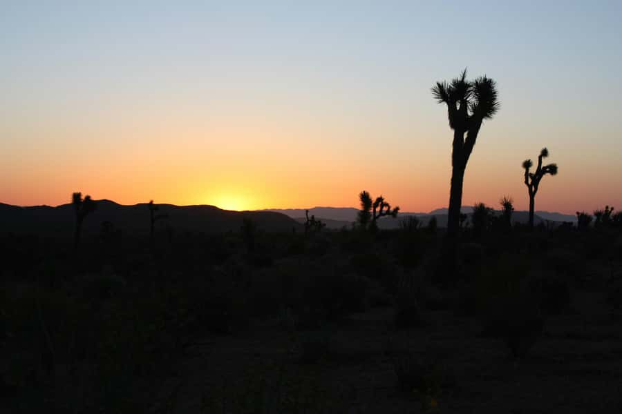 Las Vegas: Death Valley Sunset and Stargazing Tour - Leaving Las Vegas for a day in Death Valley