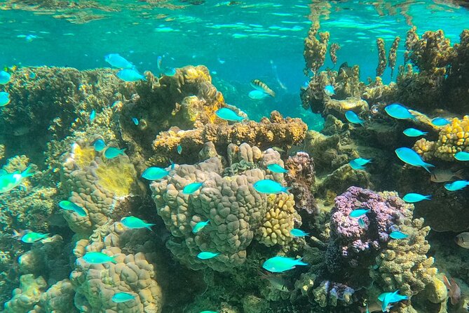 Legend Storytelling and Stargazing in Bora Bora - Who will enjoy this three-hour evening