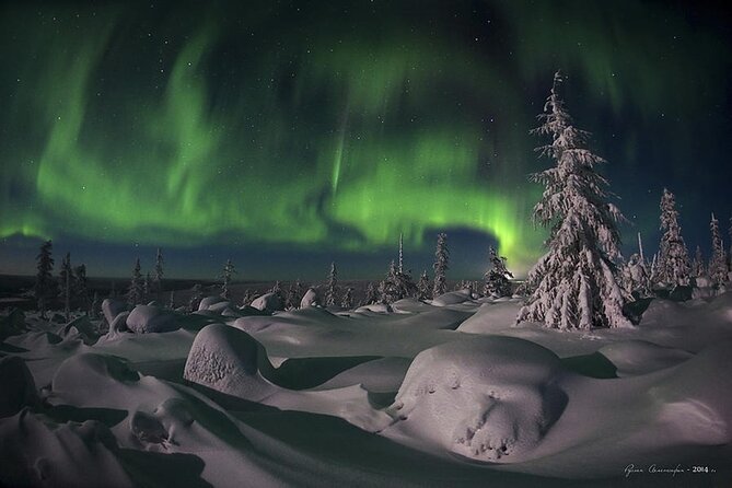 Levi: Aurora Borealis Tour and Stargazing Experience - The Northern Lights search