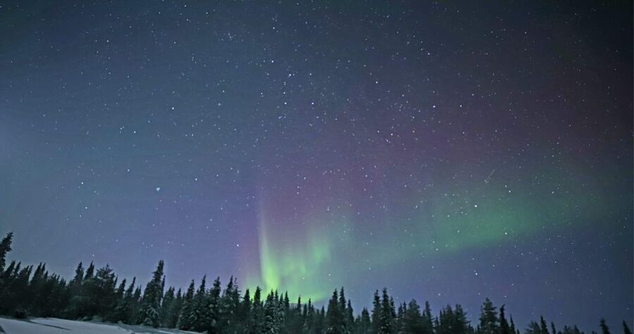 Levi: Twilight Snowmobile Safari & Stargazing Experience - Practical tips before you book