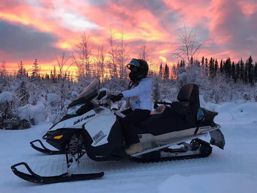 Levi: Twilight Snowmobile Safari & Stargazing Experience - Who will enjoy this most?