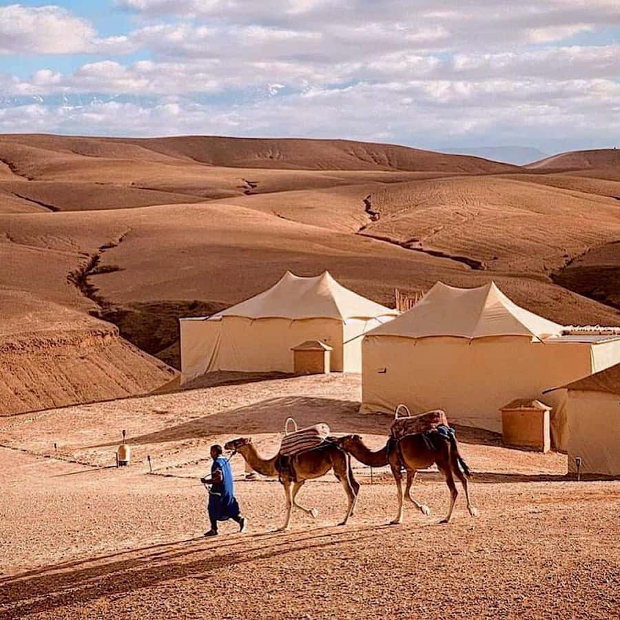 Magical Dinner In Agafay Desert Under the Stars & Camel rid - Tea and traditional clothing set up the camel ride