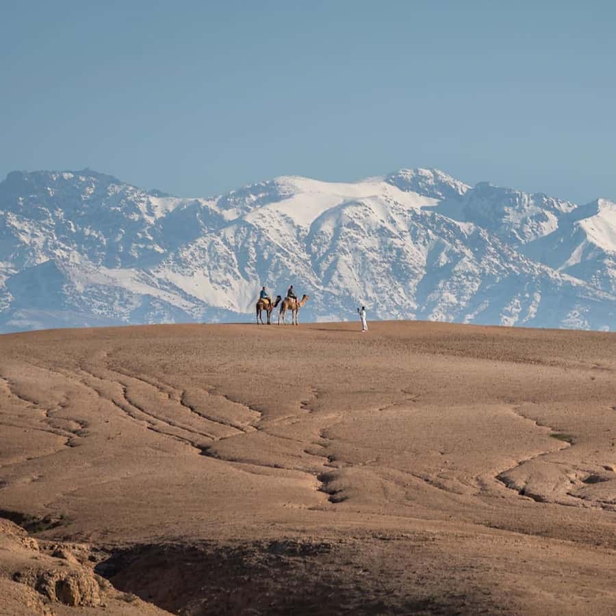 Magical Dinner In Agafay Desert Under the Stars & Camel rid - Dinner comes with Moroccan staples and live music