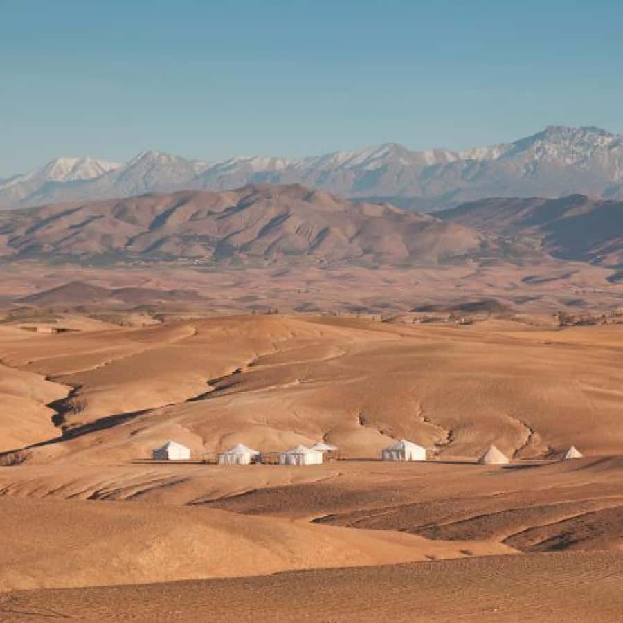 Magical Dinner In Agafay Desert Under the Stars & Camel rid - Who will enjoy this evening most