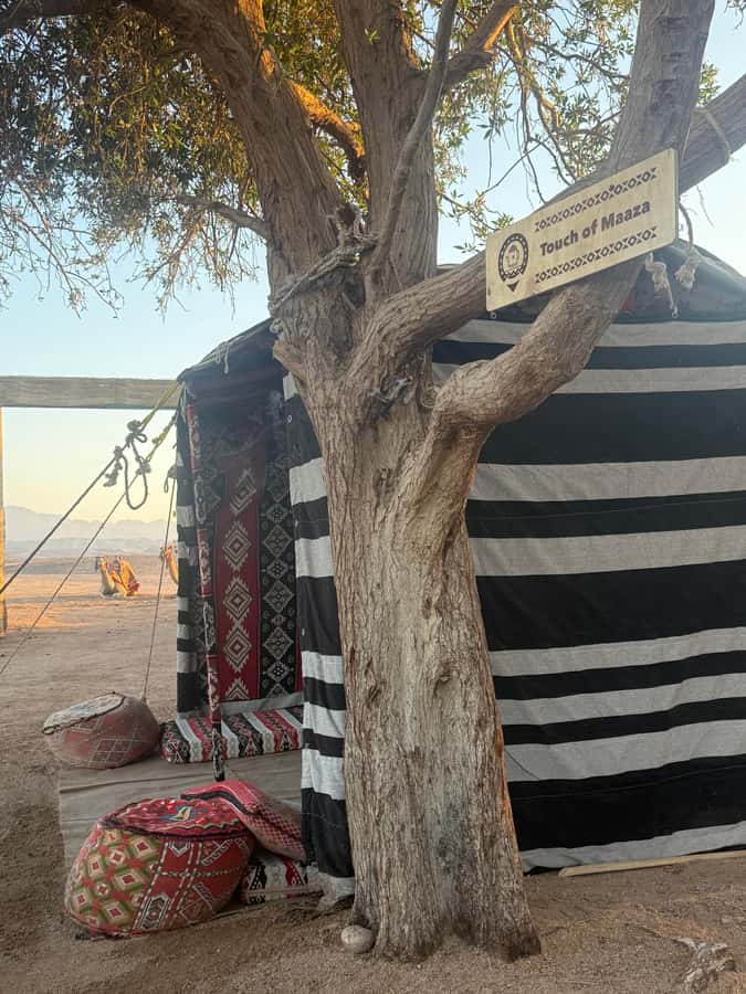 Makadi Bay: BADU Luxury Bedouin Dinner Experience & Stargaze - A four-hour evening that mixes food, culture, and stars