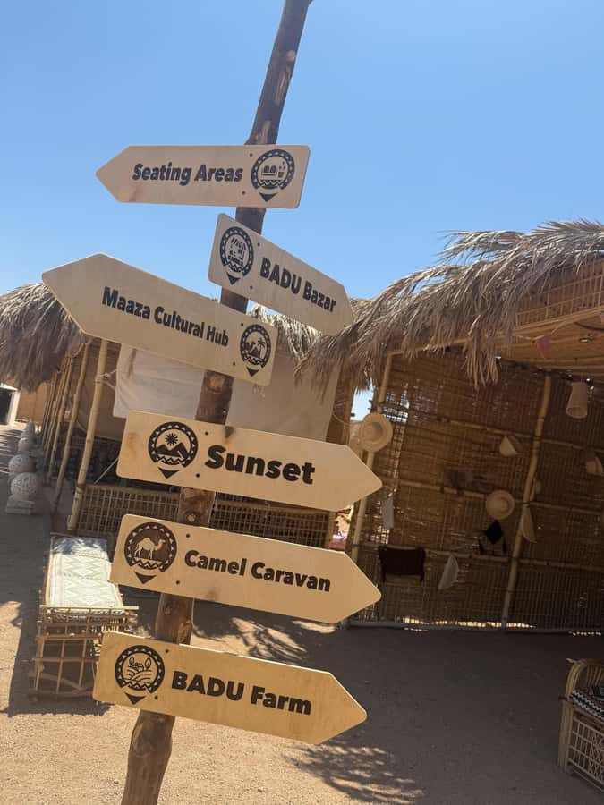 Makadi Bay: BADU Luxury Bedouin Dinner Experience & Stargaze - Sunset, camels, and the best photo light