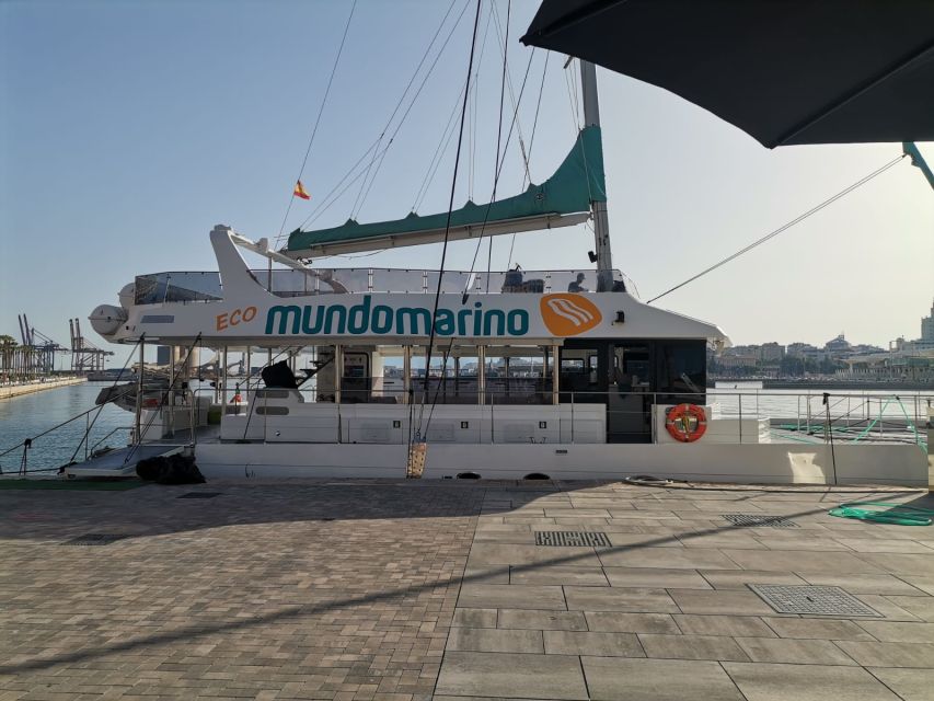 Malaga: A Sea of Stars Nighttime Stargazing Catamaran Tour - Leaving Malaga port after dark