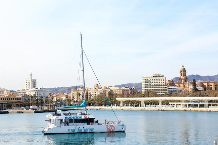 Malaga: A Sea of Stars Nighttime Stargazing Catamaran Tour - Watching Malaga’s skyline from offshore