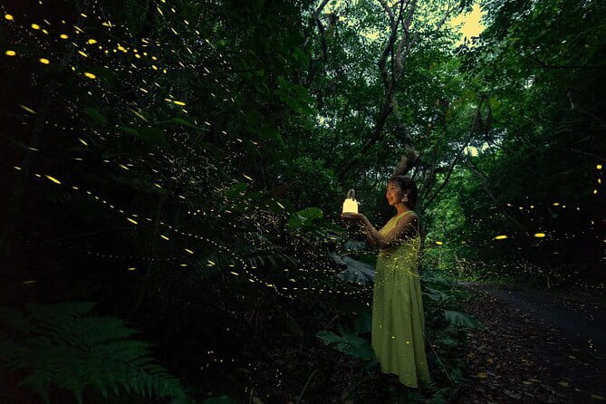 【March-June】Private Firefly Viewing & Stargazing tour - Key points before you book