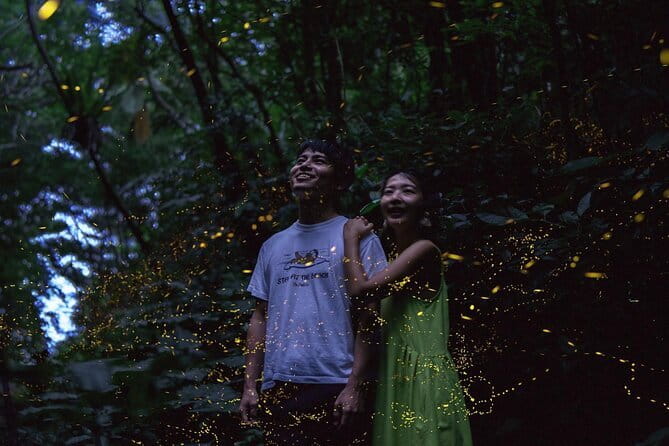 【March-June】Private Firefly Viewing & Stargazing tour - Why the private format matters