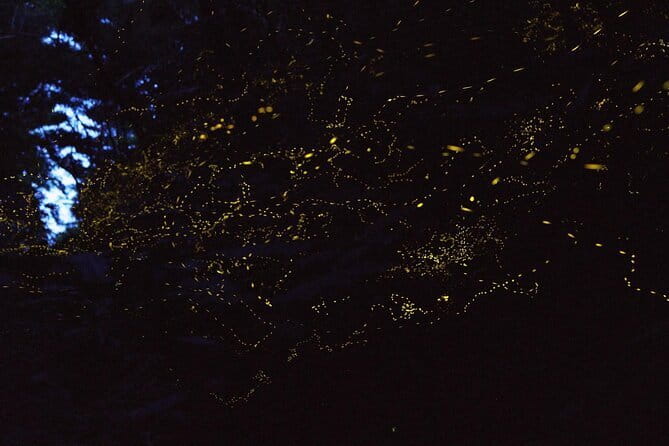 【March-June】Private Firefly Viewing & Stargazing tour - Mount Omoto and the 30-minute firefly window