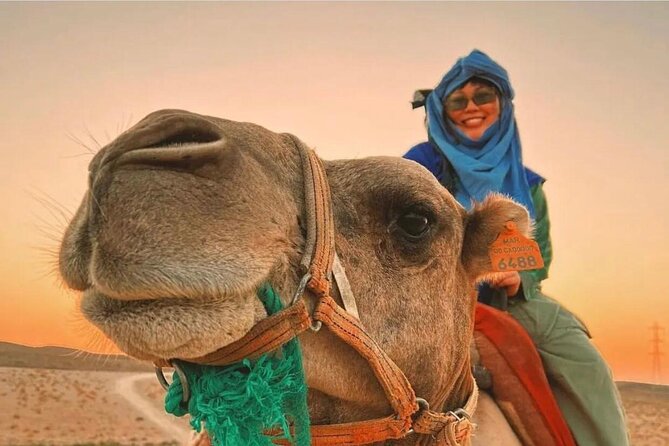 Marrakech : Agafay Desert Evening Trip Under the Stars - Is $140.95 a Fair Price?