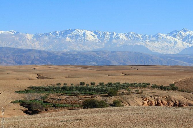 Marrakech : Agafay Desert Evening Trip Under the Stars - What the Drivers Add to the Experience