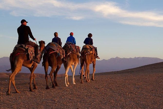 Marrakech : Agafay Desert Evening Trip Under the Stars - The Camel Ride at Sunset
