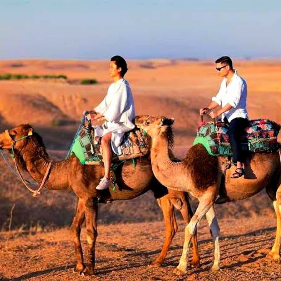 Marrakech: Dinner and Quad bike Desert Agafay Stars & show - Is $14 genuinely good value?